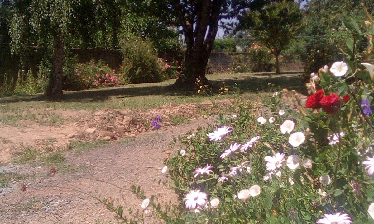 Photo of Outdoor in Reaumur