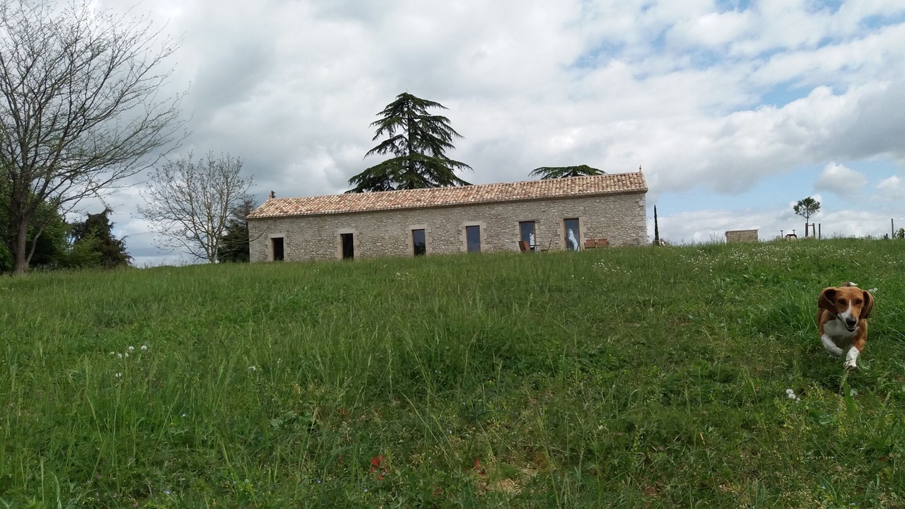 Photo of Outdoor in Boisse