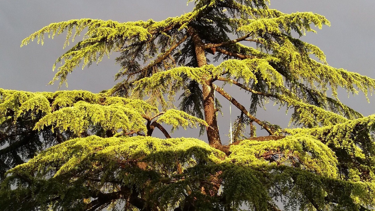 Photo of Outdoor in Boisse