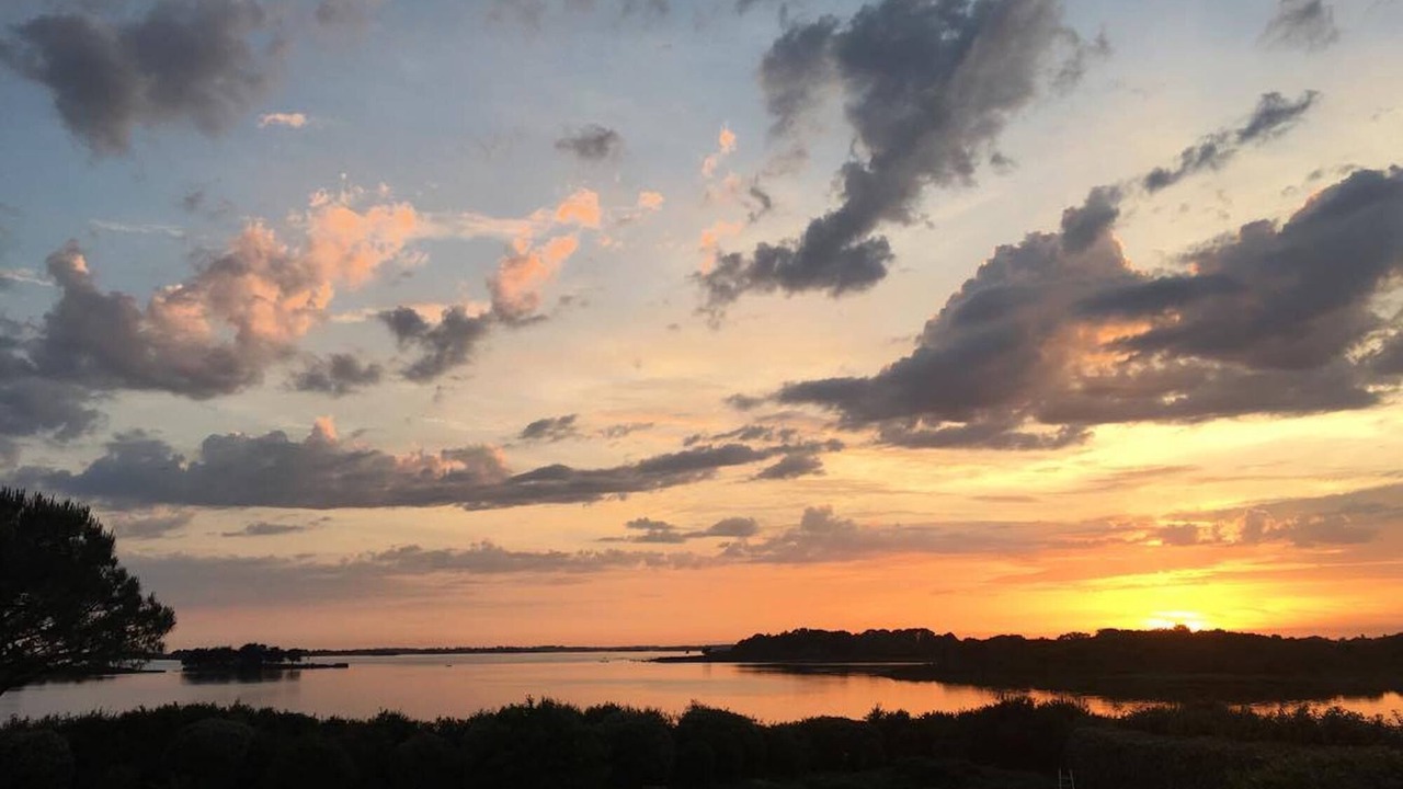 Photo of Others in Sene