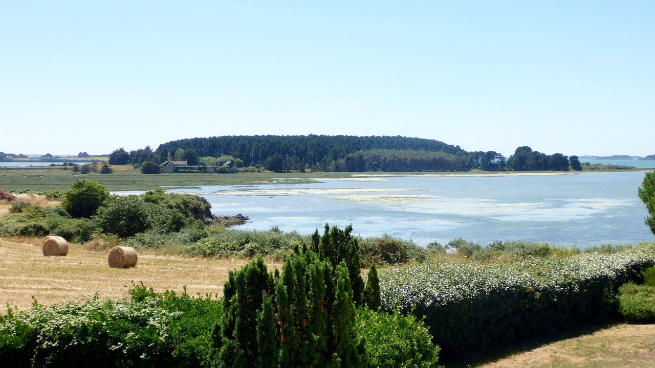 Photo of Others in Sene