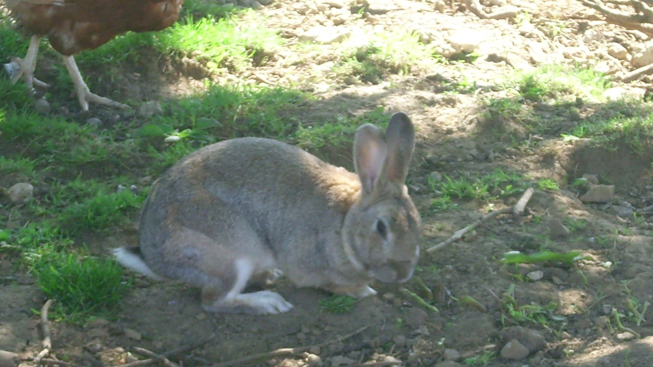 Photo of Outdoor in Plasne