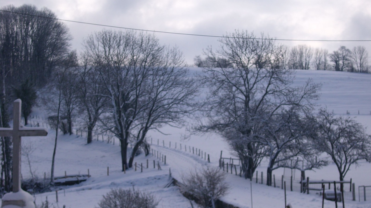 Photo of Others in Plasne