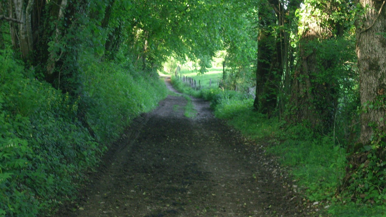 Photo of Outdoor in Plasne