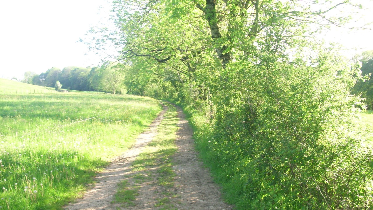 Photo of Outdoor in Plasne