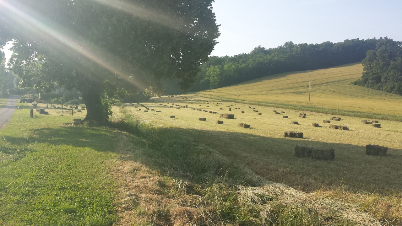 Photo of Outdoor in Montesquieu