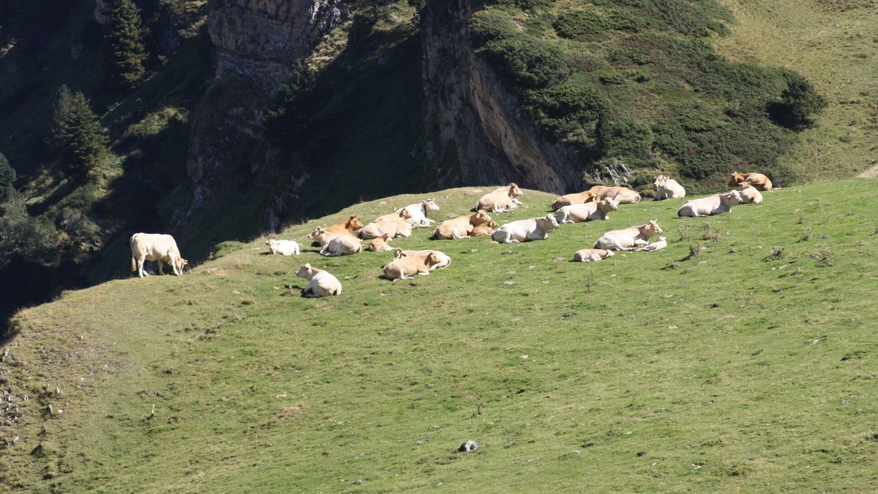 Photo of Outdoor in La Mongie