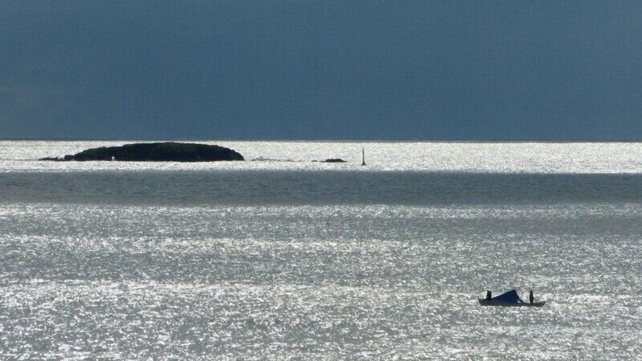 Photo of Others in Pornichet