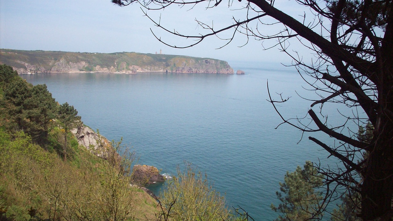 Photo of Others in Plouer-sur-Rance