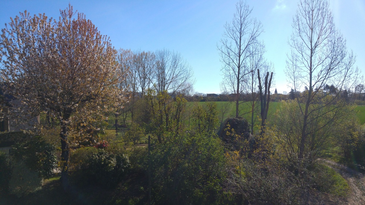 Photo of Outdoor in Plouer-sur-Rance