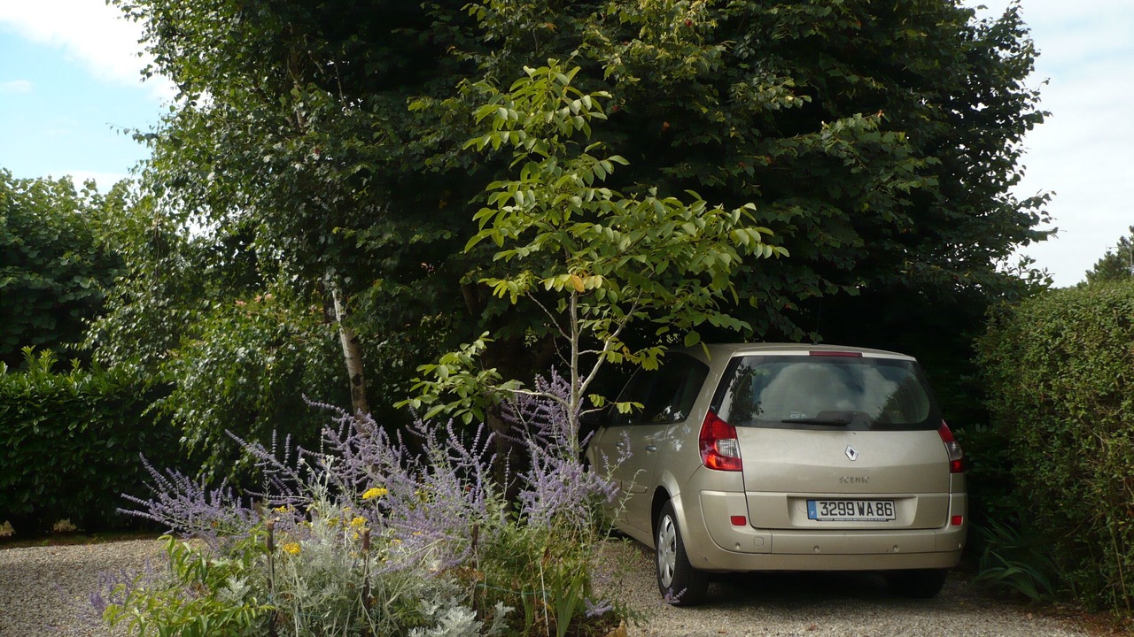 Photo of Outdoor in Saint-Vincent-sur-Jard