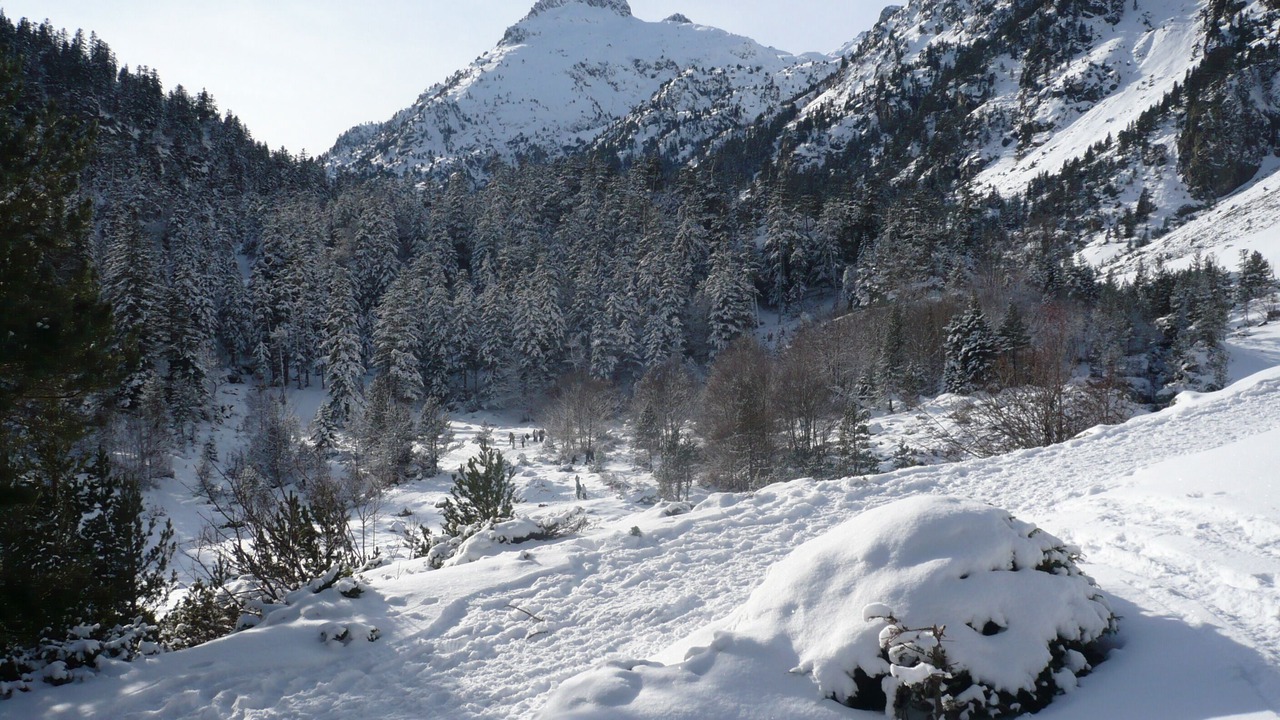 Photo of Others in Cauterets