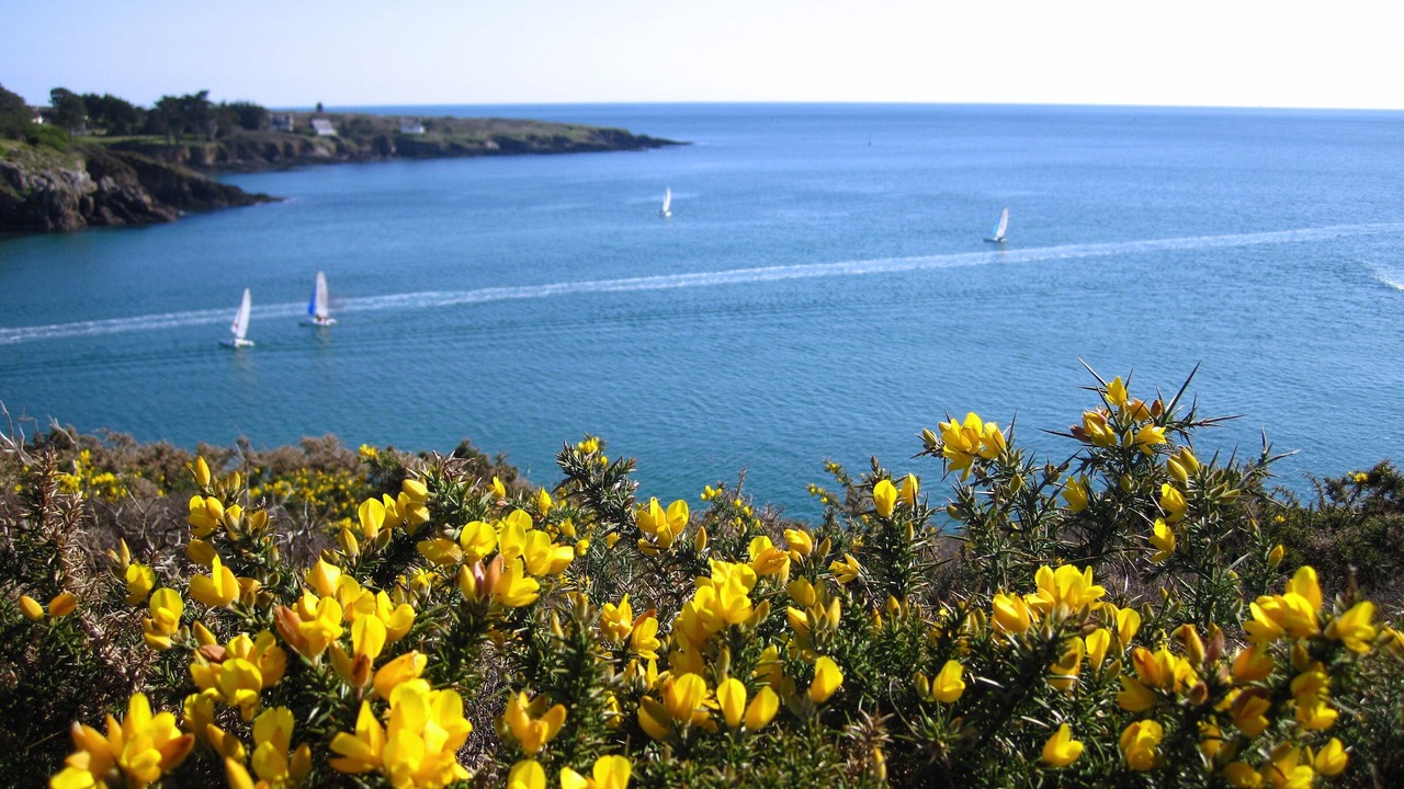 Photo of Others in Riec-sur-Belon