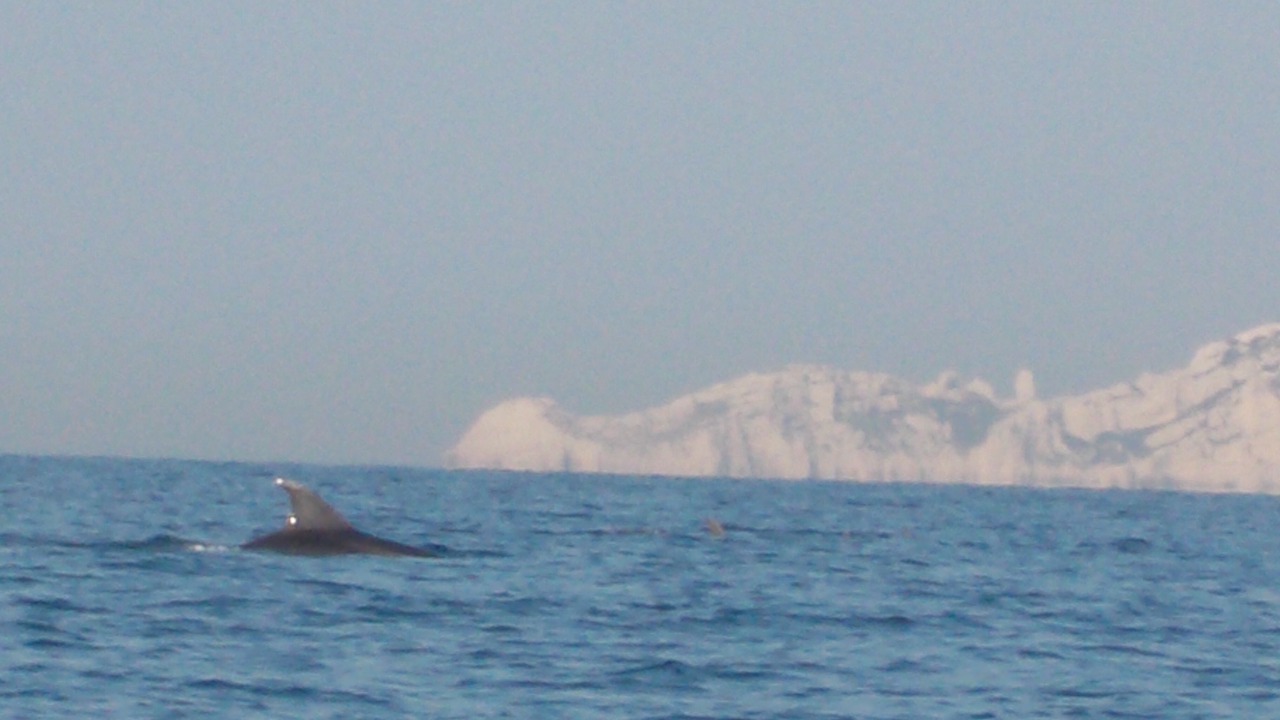 Photo of Others in Montredon