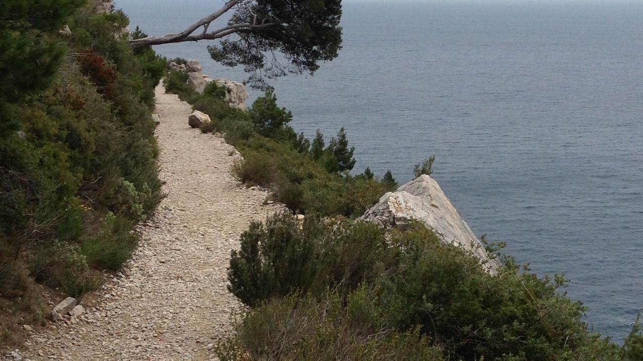 Photo of Others in Montredon