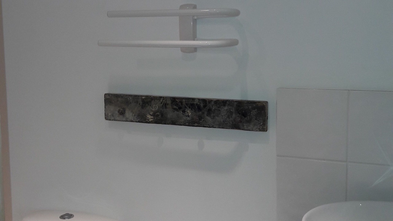 Photo of Bathroom in Montaimont