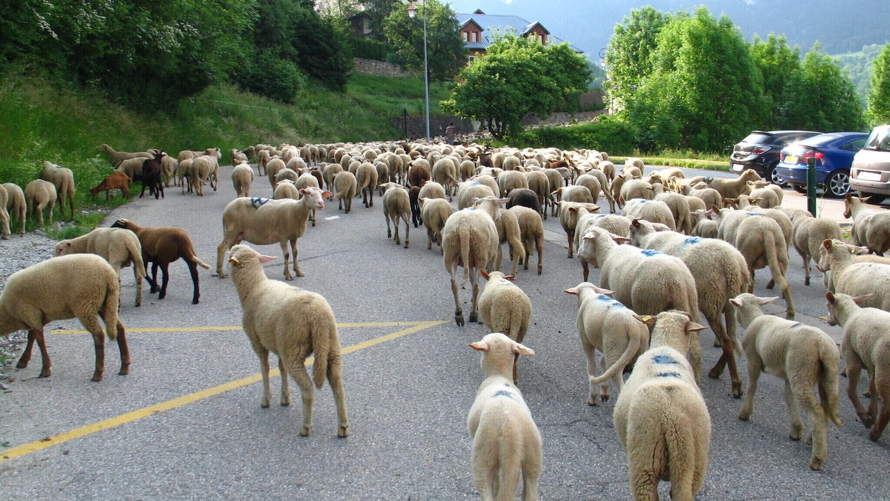 Photo of Others in Montaimont