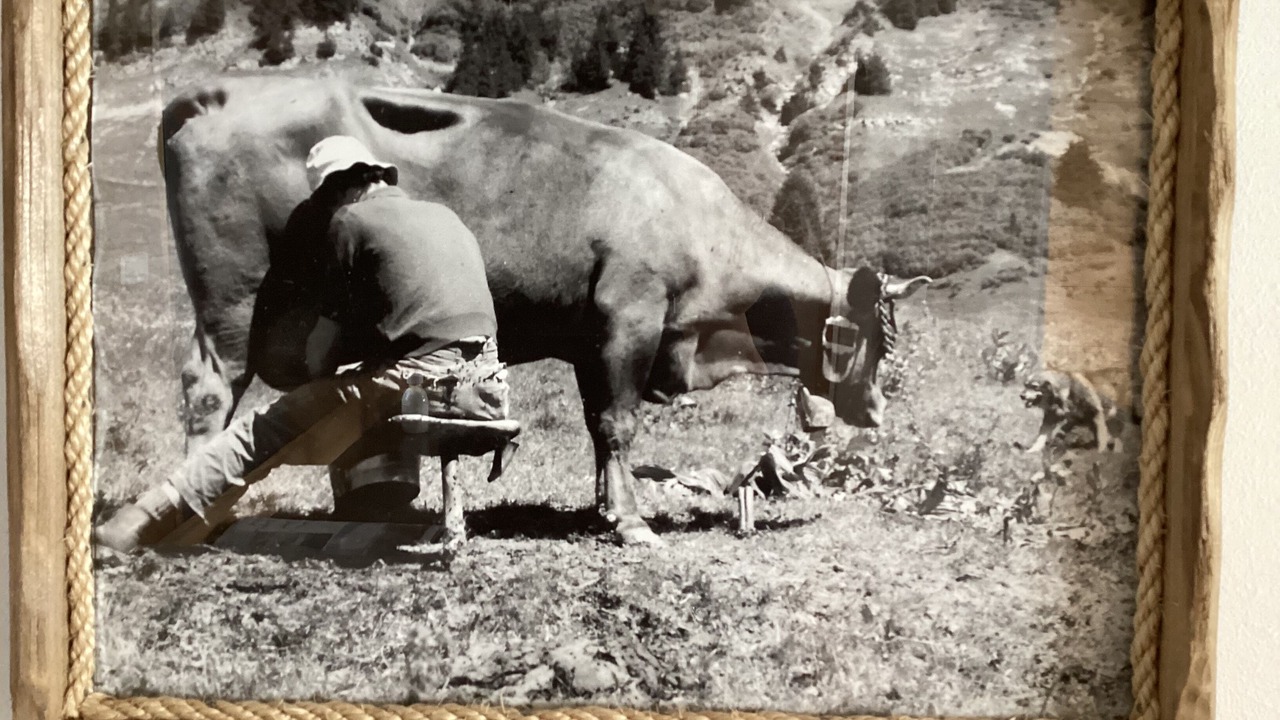 Photo of Others in Montaimont