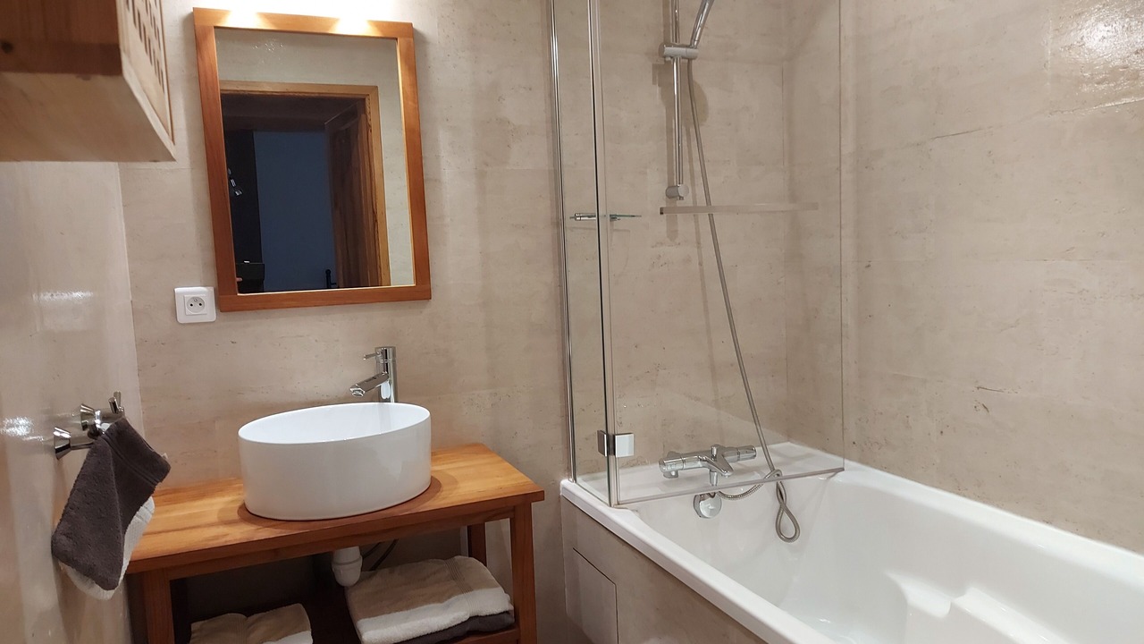 Photo of Bathroom in Charensat