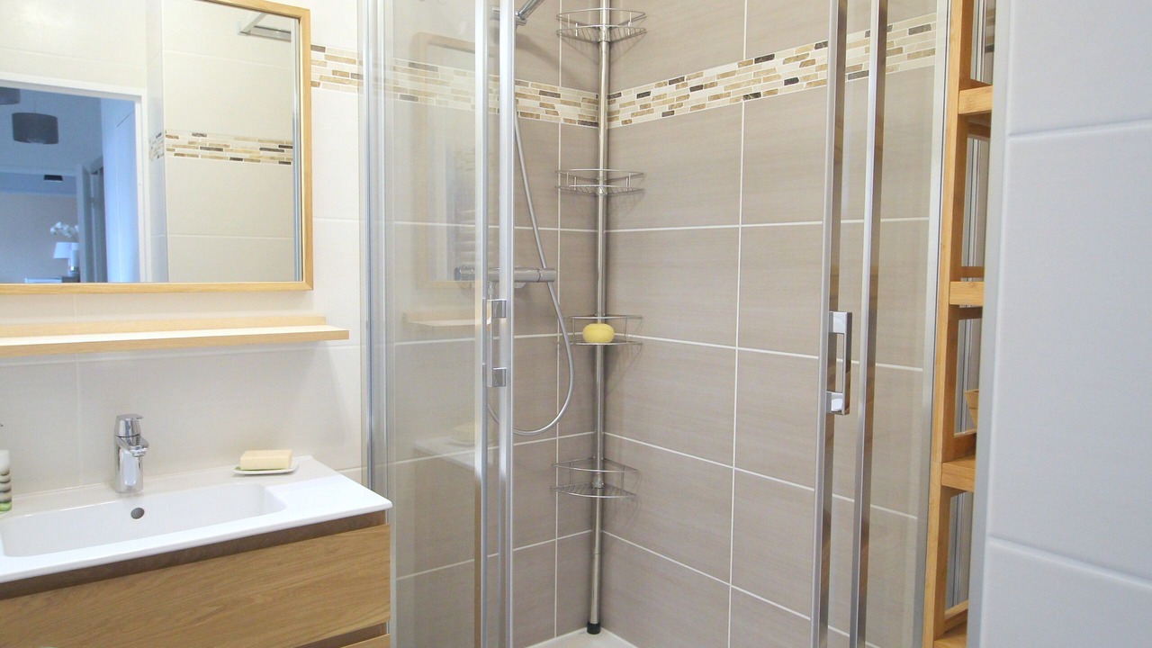 Photo of Bathroom in Serris
