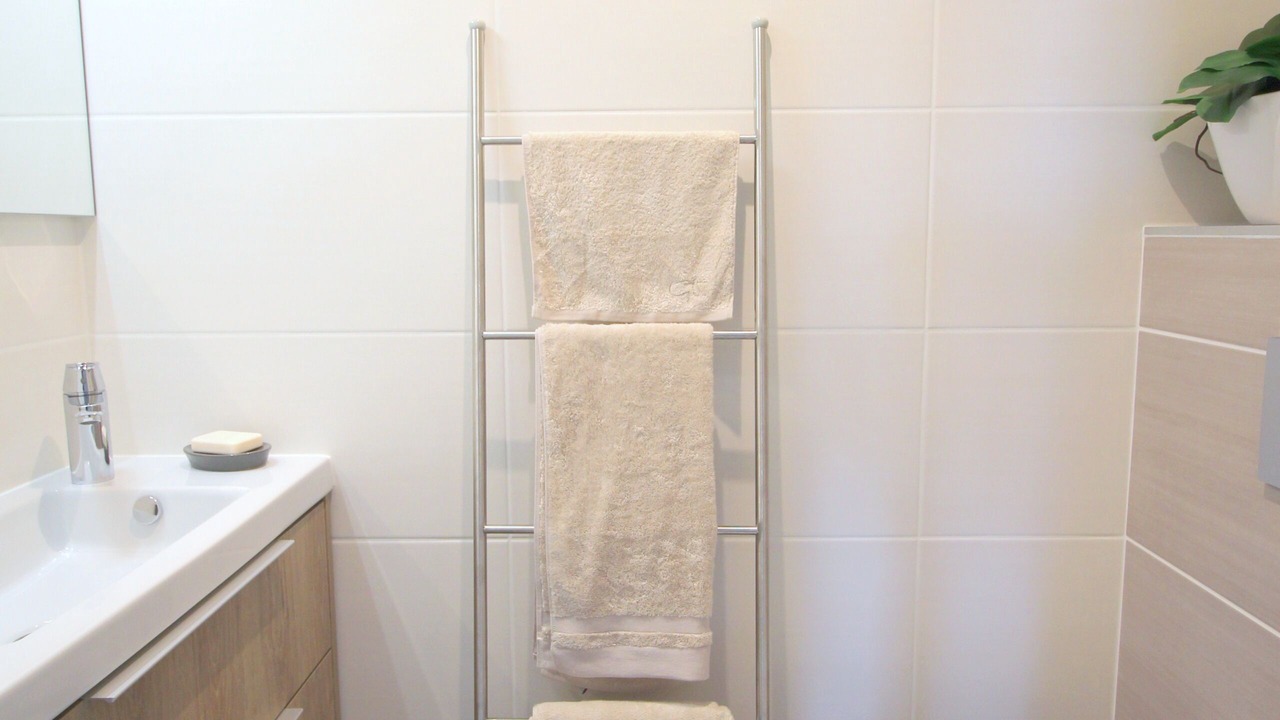 Photo of Bathroom in Serris