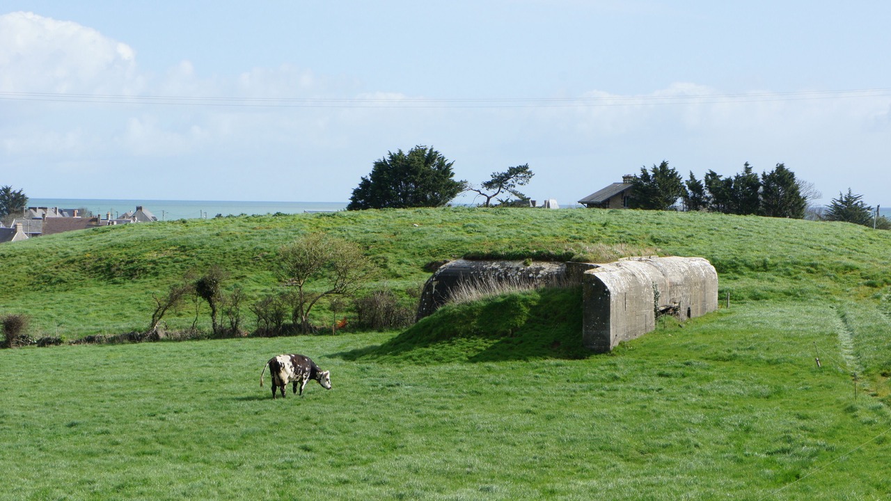 Photo of Outdoor in Quineville