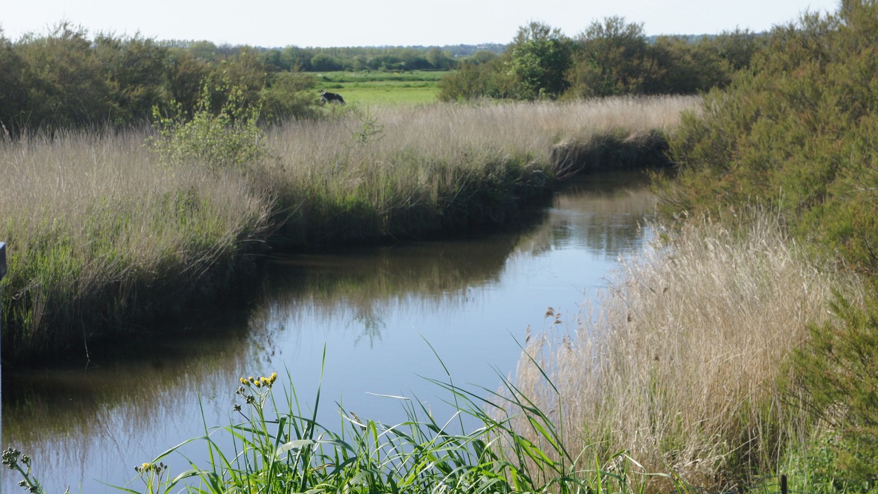 Photo of Outdoor in Quineville