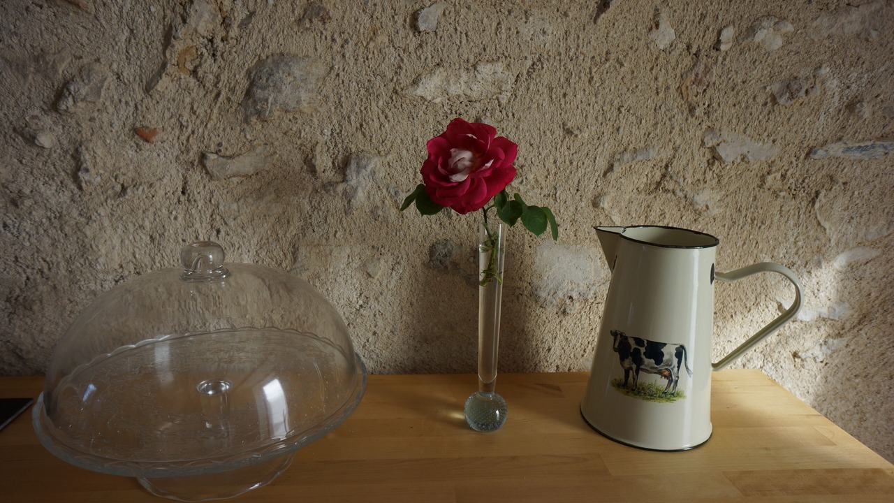 Photo of Others in Tauxigny