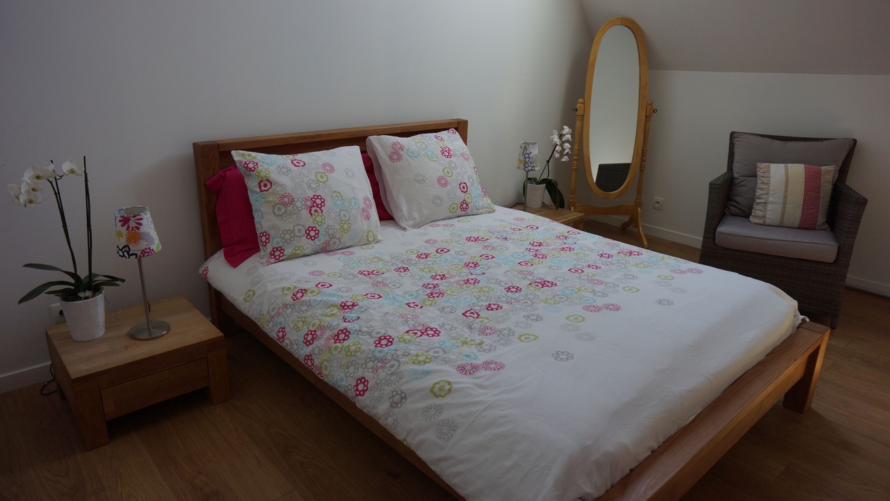 Photo of Bedroom in Tauxigny