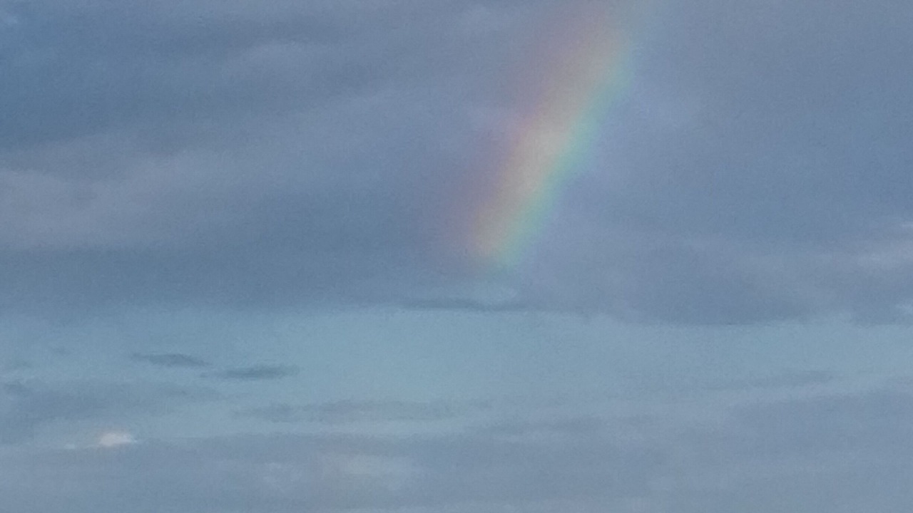 Photo of Others in Hourtin Port