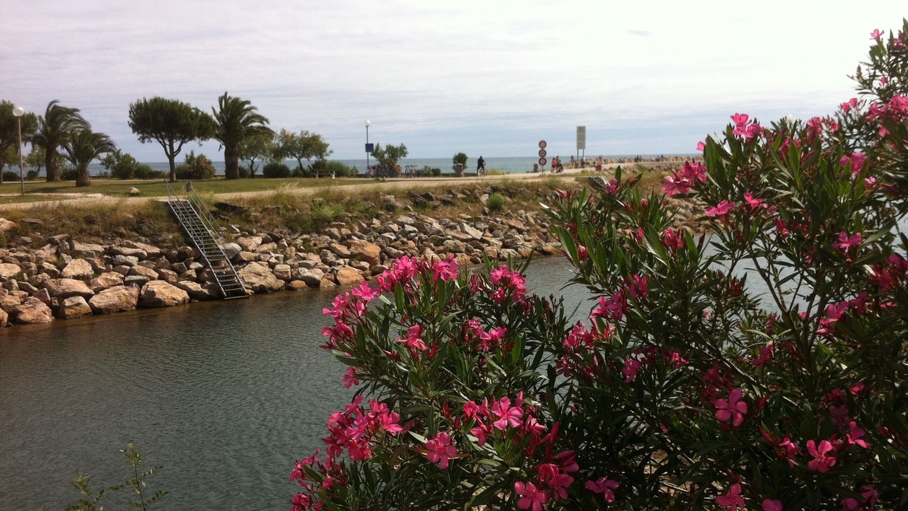 Photo of Outdoor in Saint-Andre