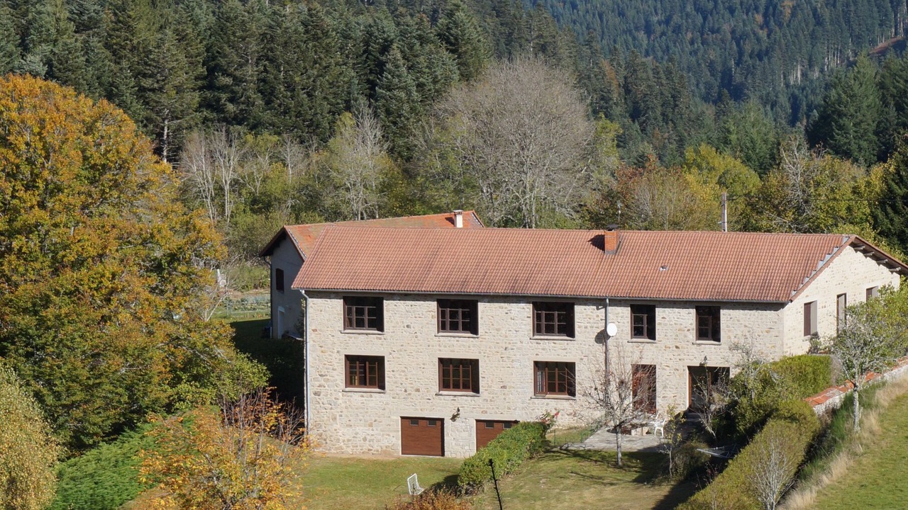 Photo of Outdoor in Felines