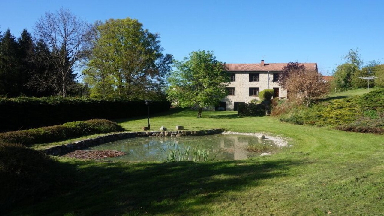 Photo of Outdoor in Felines