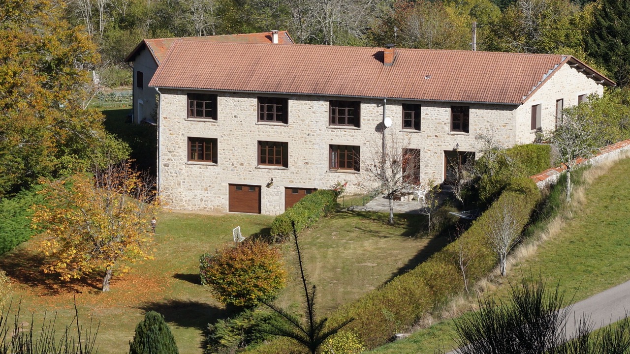 Photo of Outdoor in Felines