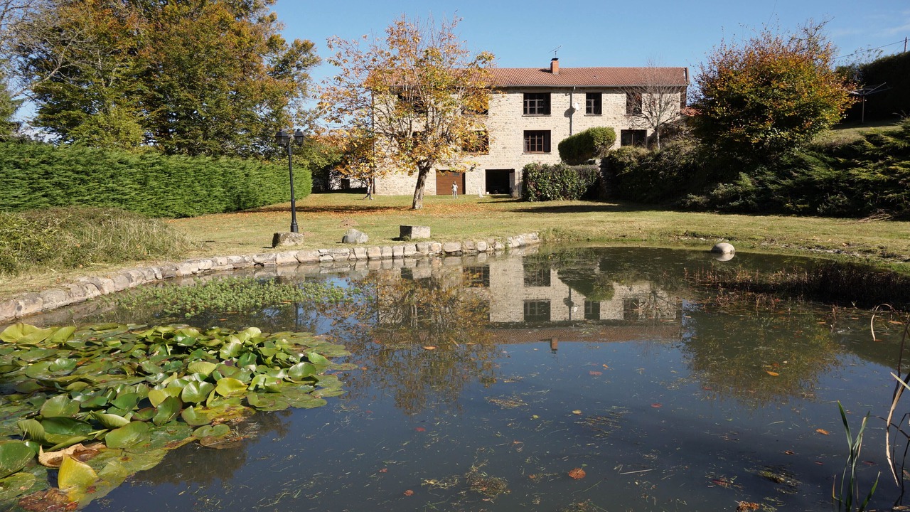 Photo of Outdoor in Felines