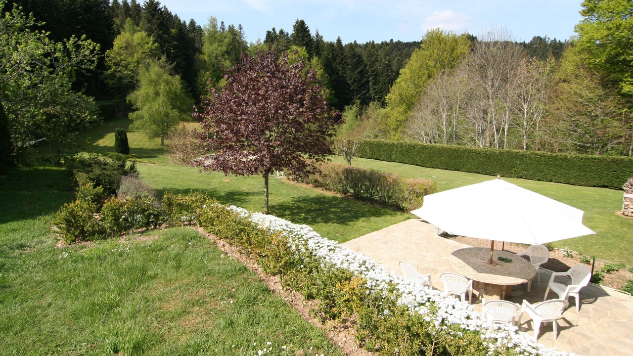 Photo of Outdoor in Felines