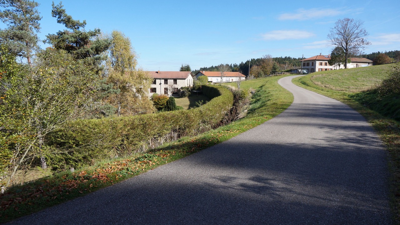 Photo of Outdoor in Felines