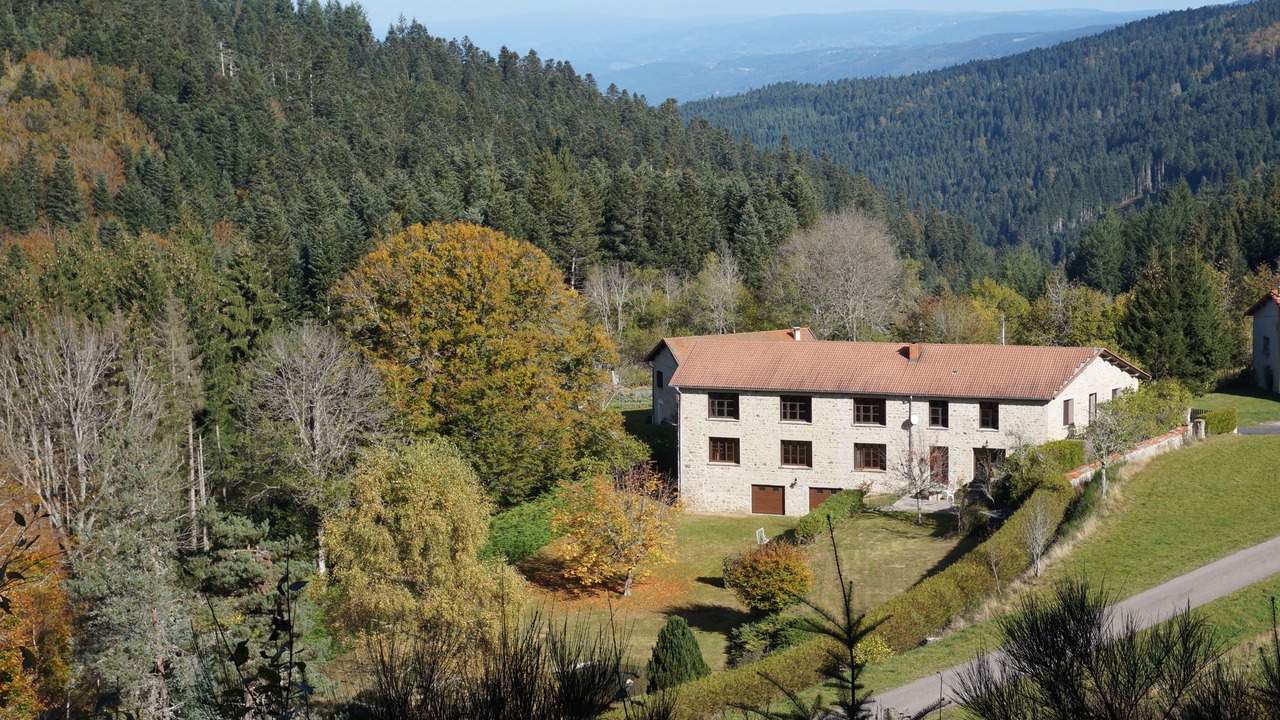 Photo of Outdoor in Felines