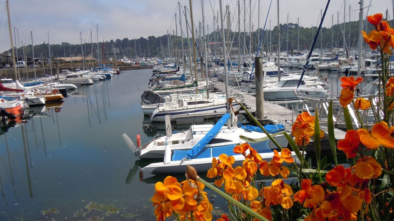 Photo of Others in Pleumeur-Gautier