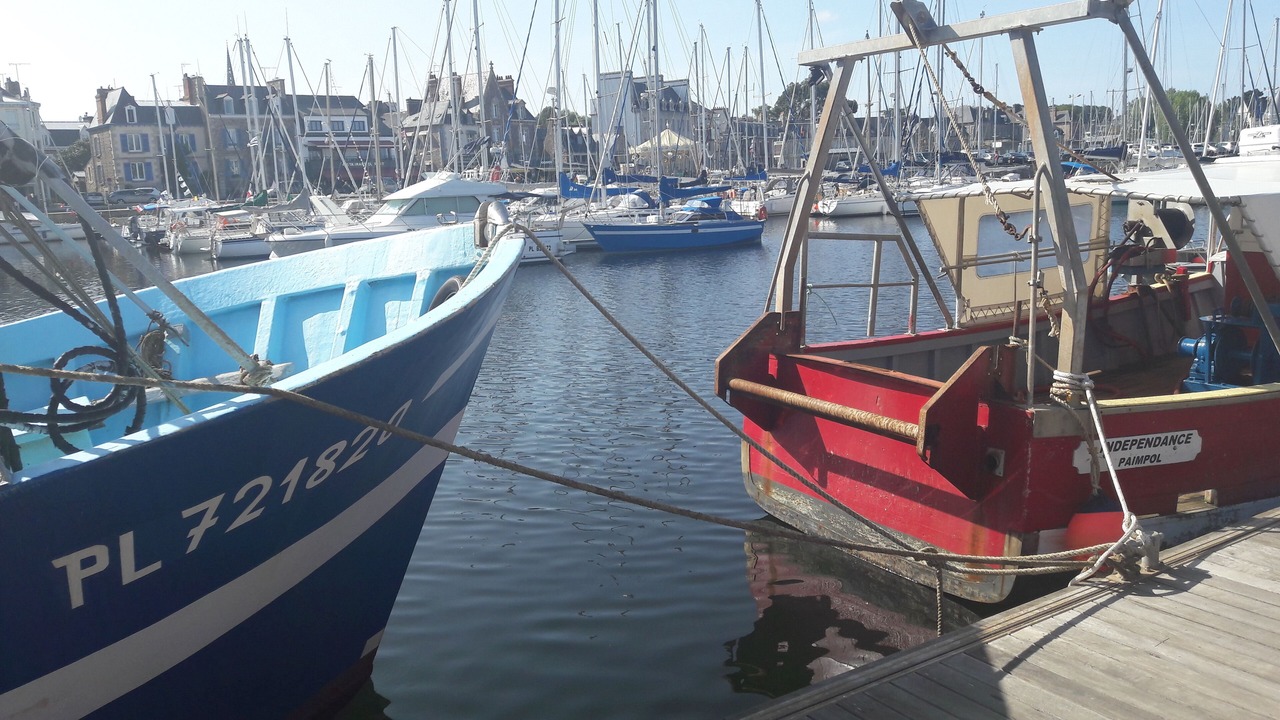 Photo of Others in Pleumeur-Gautier