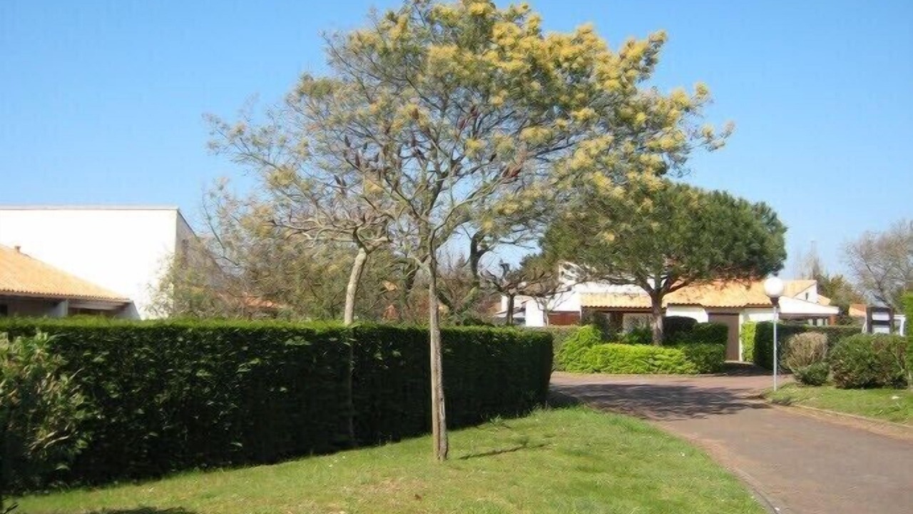 Photo of Outdoor in Saint-Vincent-sur-Jard