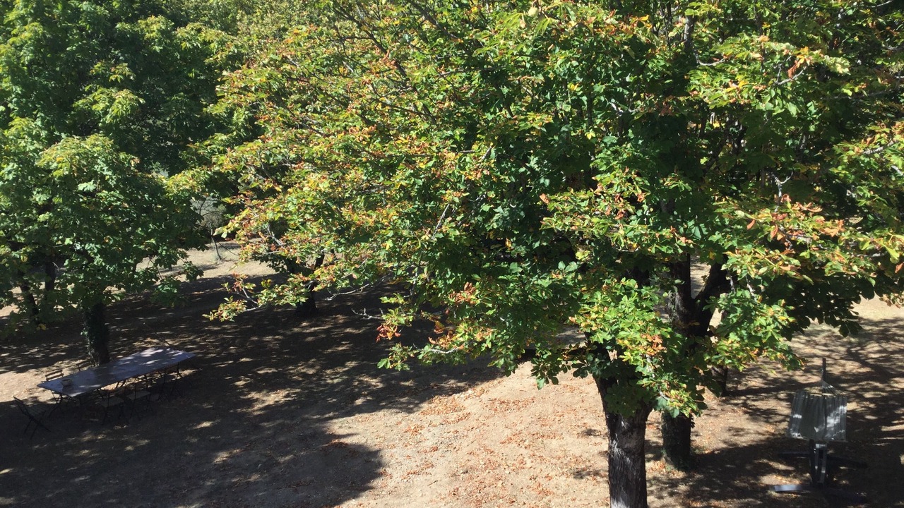 Photo of Outdoor in Propiac