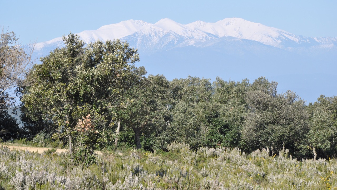 Photo of Outdoor in Le Boulou