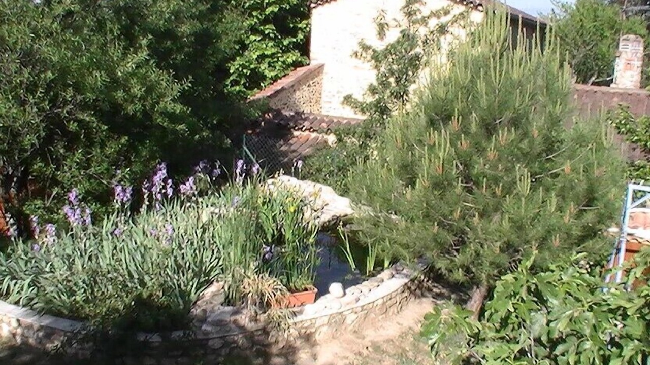Photo of Outdoor in Boisset-et-Gaujac