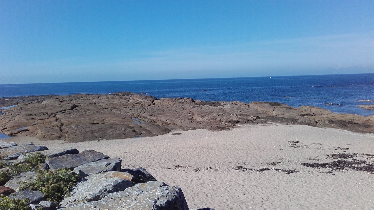 Photo of Others in La Turballe