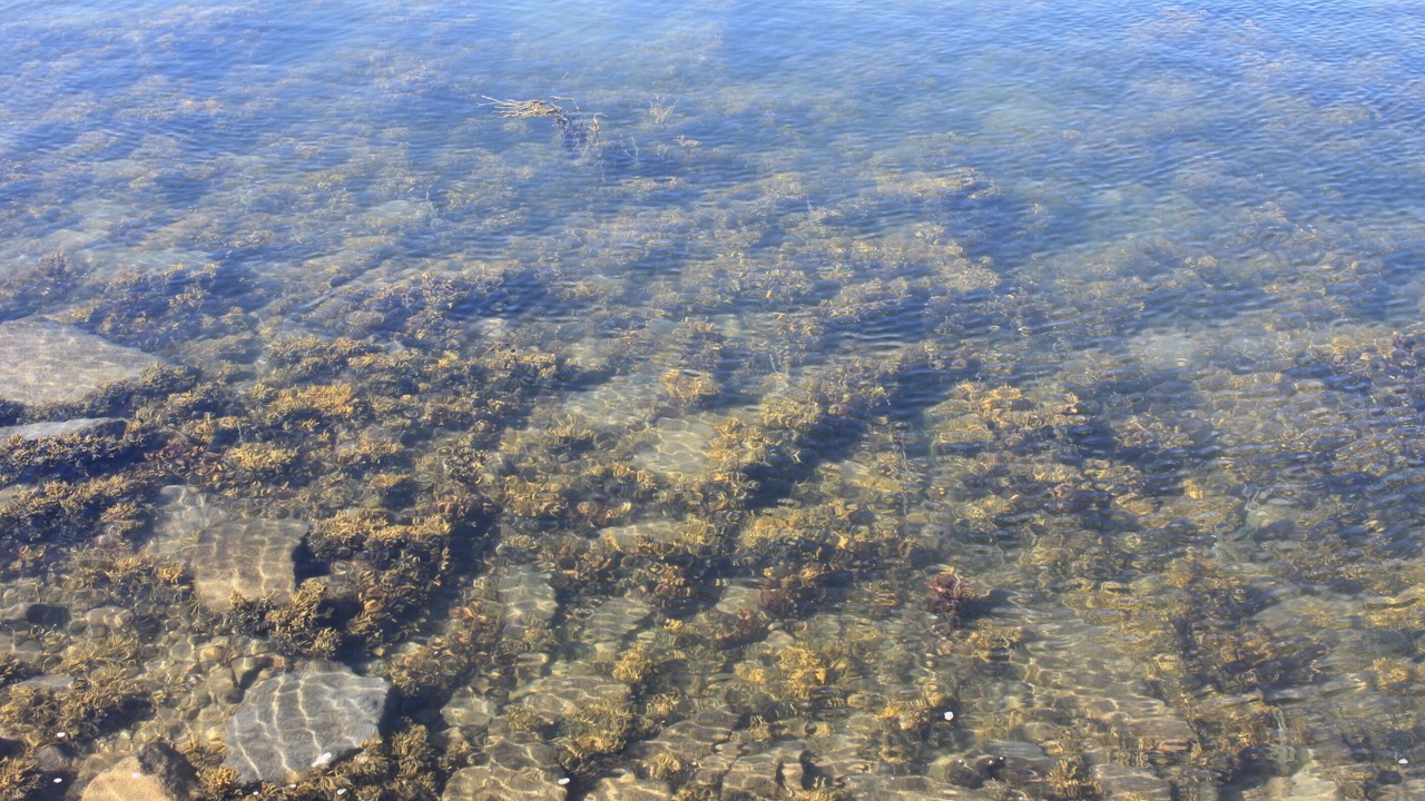 Photo of Outdoor in Dirinon
