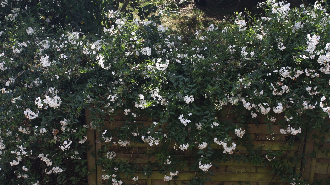 Photo of Outdoor in Dirinon