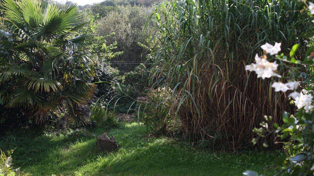 Photo of Outdoor in Dirinon