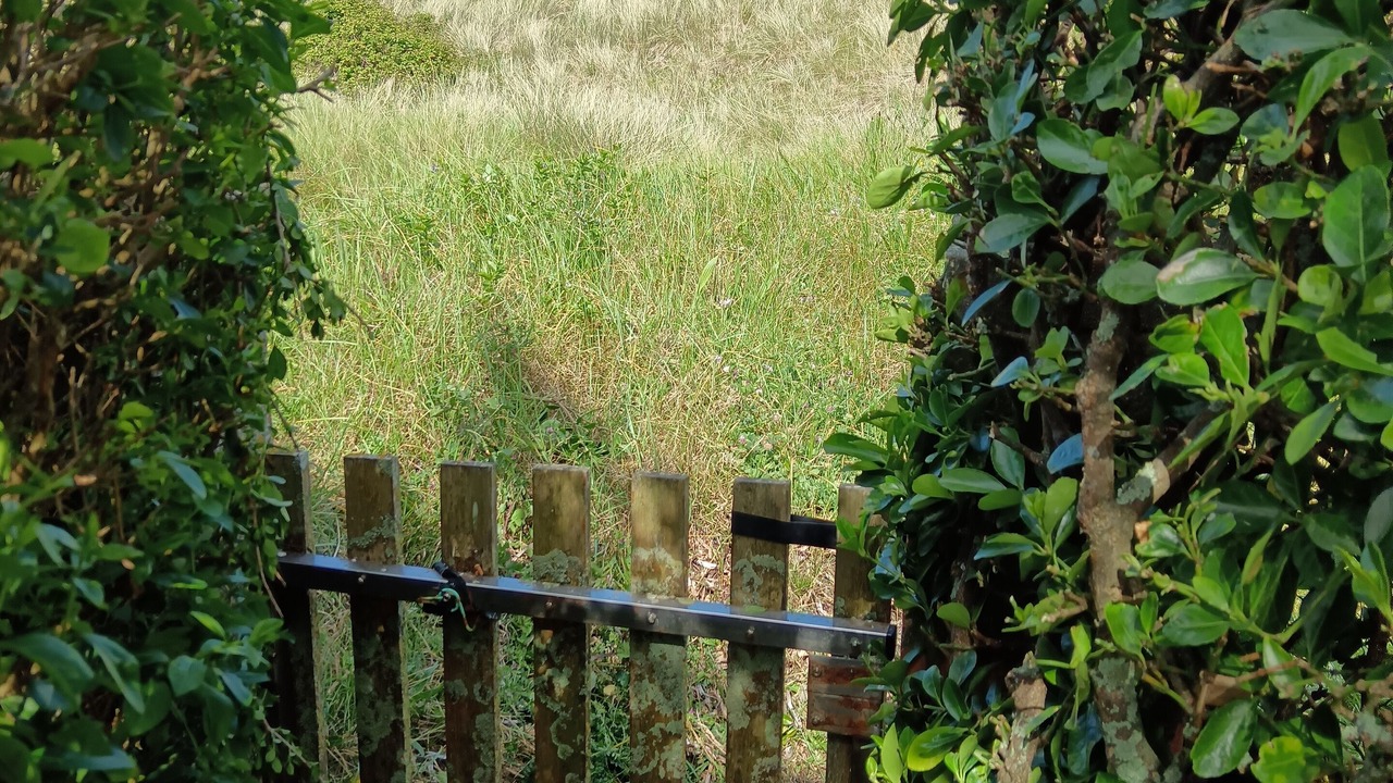 Photo of Outdoor in Sainte-Marie-du-Mont