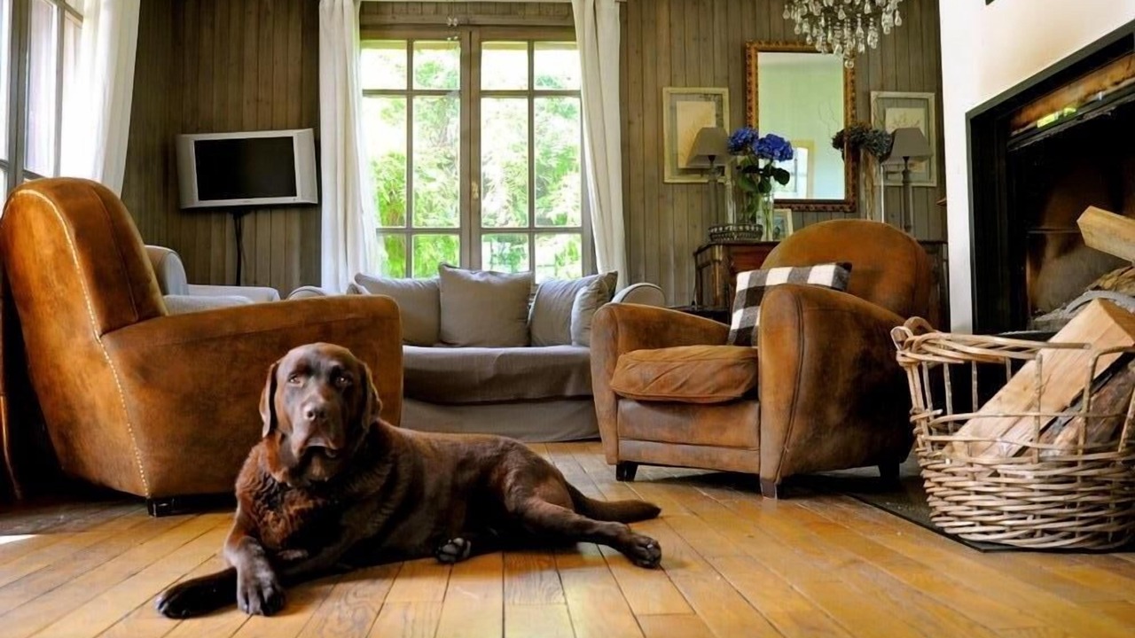 Photo of Livingroom in Chamonix-Mont-Blanc